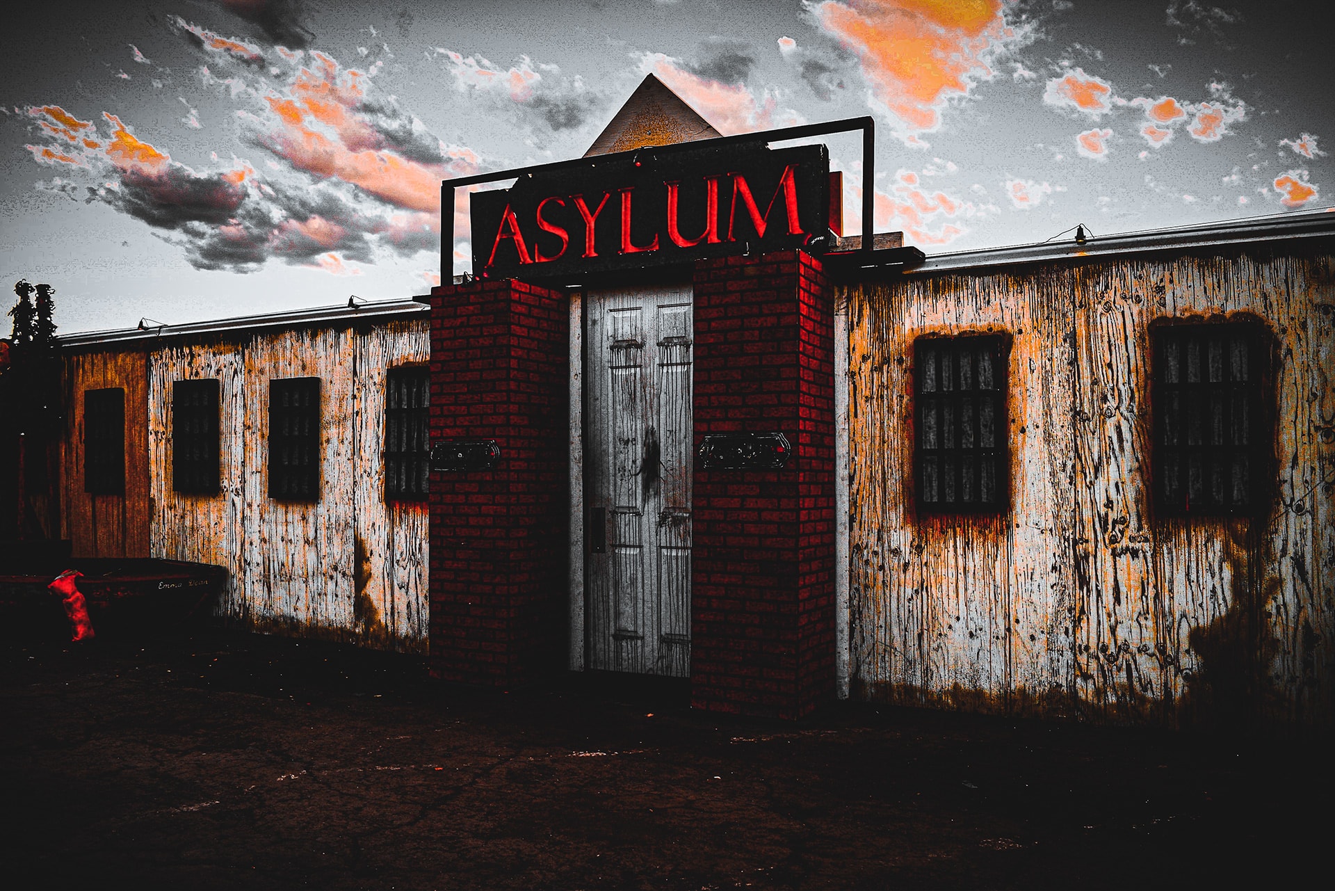 The Asylum